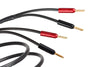 Hyper 2.0 Achromatic Z Speaker Cable
